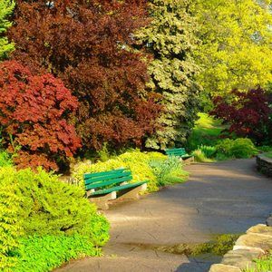 Meet your Posher, Pepe n mary